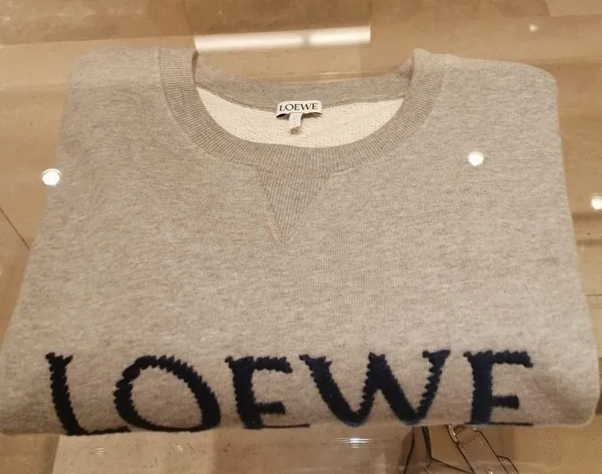 LOEWE  |Embroidered LOEWE sweatshirt in cotton