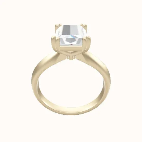 Modified Knife Edge Engagement Ring With Double Prongs Head