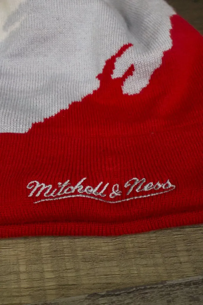 Red Wings Beanie | Detroit Red Wings Mitchell and Ness Paint Brush Winter Pom Beanie