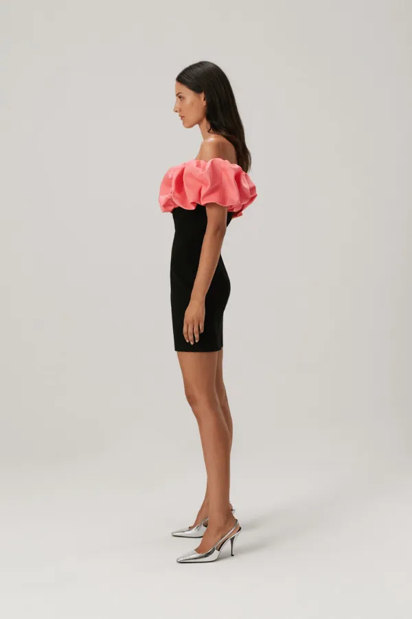 Rosana Mini Dress Watermelon Pink and Black